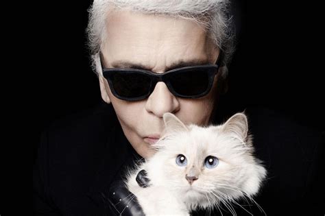 Choupette, la gata que hereda la millonaria fortuna de Karl Lagerfeld.